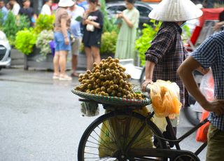 并不是所有人都适宜多吃龙眼