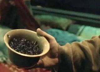 “蛊”到底是个什么东西？：畜蛊