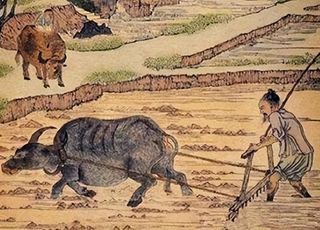 中国古代的一些“奇葩”制度：重农抑商