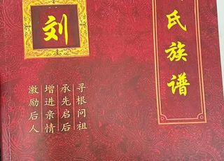 汉朝刘氏皇族人口峰值：王莽