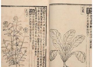 周定王朱橚为何如此热衷于野菜：《救荒本草》