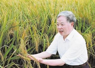 足以与袁隆平比肩的先驱朱英国：“红莲型”