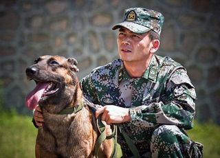 杨烁《神犬奇兵》：人犬情深的军旅赞歌