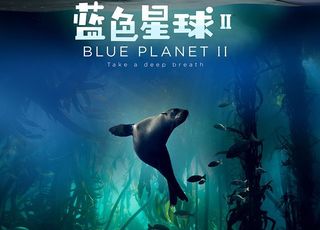 BBC神剧纪录片经典《蓝色星球 2》：海洋深处的视觉盛宴