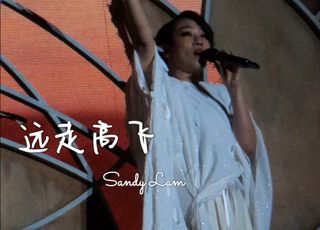 林忆莲《远走高飞》：追求自由的心灵之歌
