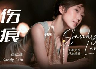 林忆莲《伤痕》：爱情伤痛的深刻诠释