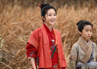 《锦囊妙录》粮仓案风云起，齐家陷入危机