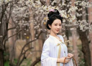 《国色芳华》结局：启示与展望