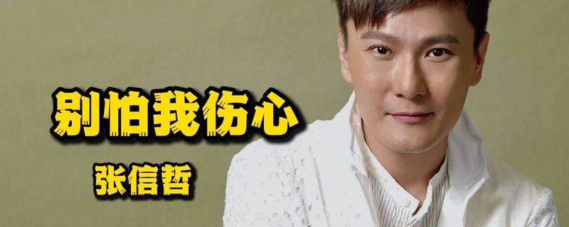 《别怕我伤心》：等待中的深情倾诉
