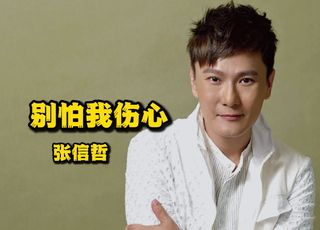 《别怕我伤心》：等待中的深情倾诉