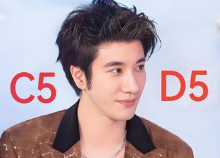 王力宏的多元身份：台湾，演艺事业的起点