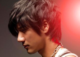 王力宏的多元身份：成就独特的王力宏