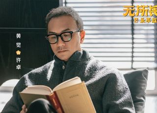 《无所畏惧 2》：观众反响与评价