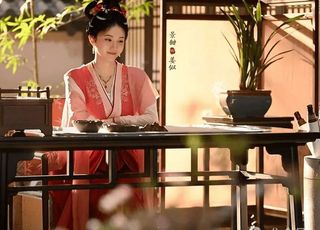 《似锦》与《宁安如梦》：观众反响与评价差异