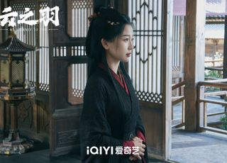 《云之羽》剧情硬伤：逻辑漏洞与拖沓