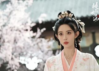 《桃花映江山》权谋与爱恋交织的古风奇境：配角添彩，阵容豪华