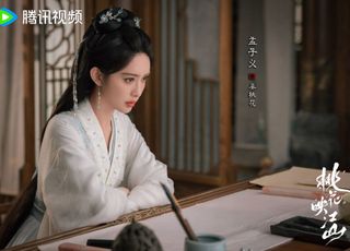 《桃花映江山》权谋与爱恋交织的古风奇境：服化道美，还原古风