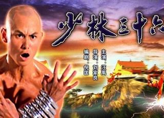 邵氏电影功夫传承《少林三十六房》：功夫电影典范