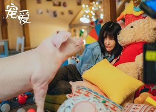 《宠爱》结局的深层含义挖掘