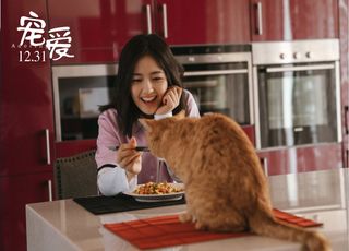 《宠爱》电影结局的独特呈现手法