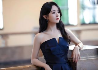 赵丽颖的演艺之路：奋斗与成长的传奇