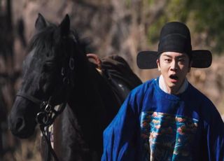 《锦囊妙录》大厦将倾：齐家的覆灭与牵连