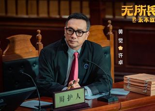 《无所畏惧2》：剧情背景简述