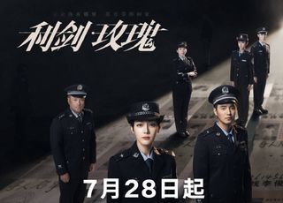 《利剑玫瑰》是怎样一部剧