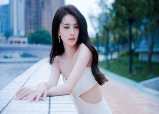 姜珮瑶的演艺征途：家世与努力的双重助力