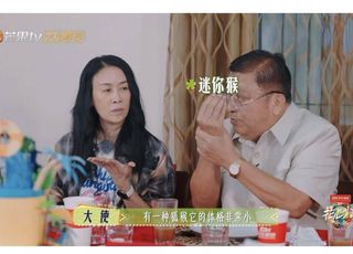 《花儿与少年 7》：全新旅程，会有哪些惊喜？
