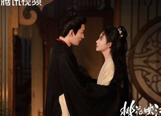 《桃花映江山》：精彩群像，丰富剧情画卷